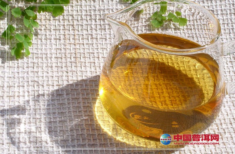 普洱茶