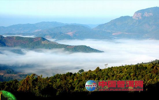 <u><a href='http://www.puer10000.com/puerzhishi/32854.html' target='_blank'>ն<u><a href='http://www.puer10000.com/puerzhishi/100997.html' target='_blank'></a></u></a></u>