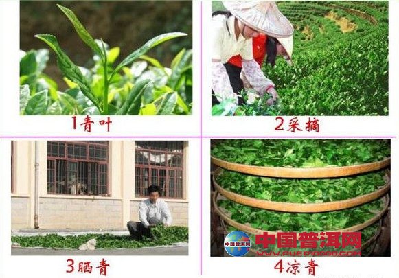 <u><a href='http://www.puer10000.com/puerzhishi/32854.html' target='_blank'>ն<u><a href='http://www.puer10000.com/puerzhishi/100997.html' target='_blank'></a></u></a></u>