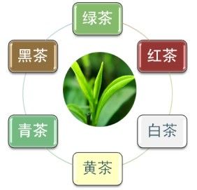 普洱茶