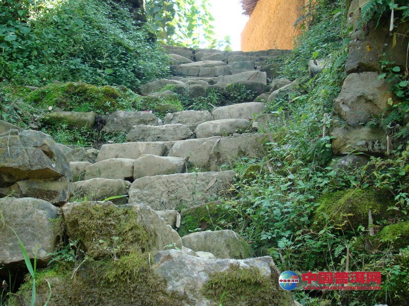 <u><a href='http://www.puer10000.com/puerzhishi/32854.html' target='_blank'>普洱<u><a href='http://www.puer10000.com/puerzhishi/100997.html' target='_blank'>茶</a></u></a></u>