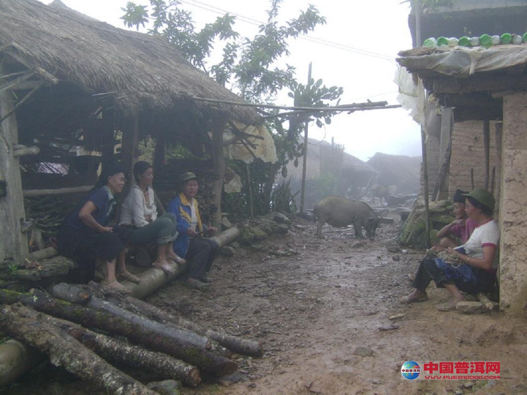 <u><a href='http://www.puer10000.com/puerzhishi/32854.html' target='_blank'>ն<u><a href='http://www.puer10000.com/puerzhishi/100997.html' target='_blank'></a></u></a></u>