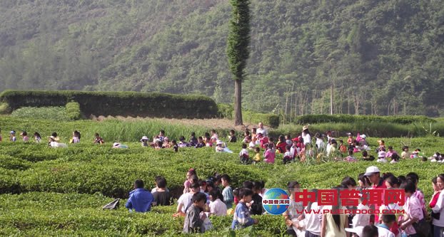 <u><a href='http://www.puer10000.com/puerzhishi/32854.html' target='_blank'>ն<u><a href='http://www.puer10000.com/puerzhishi/100997.html' target='_blank'></a></u></a></u>