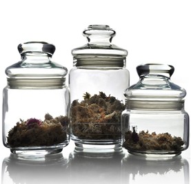 普洱茶