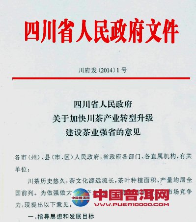 普洱茶