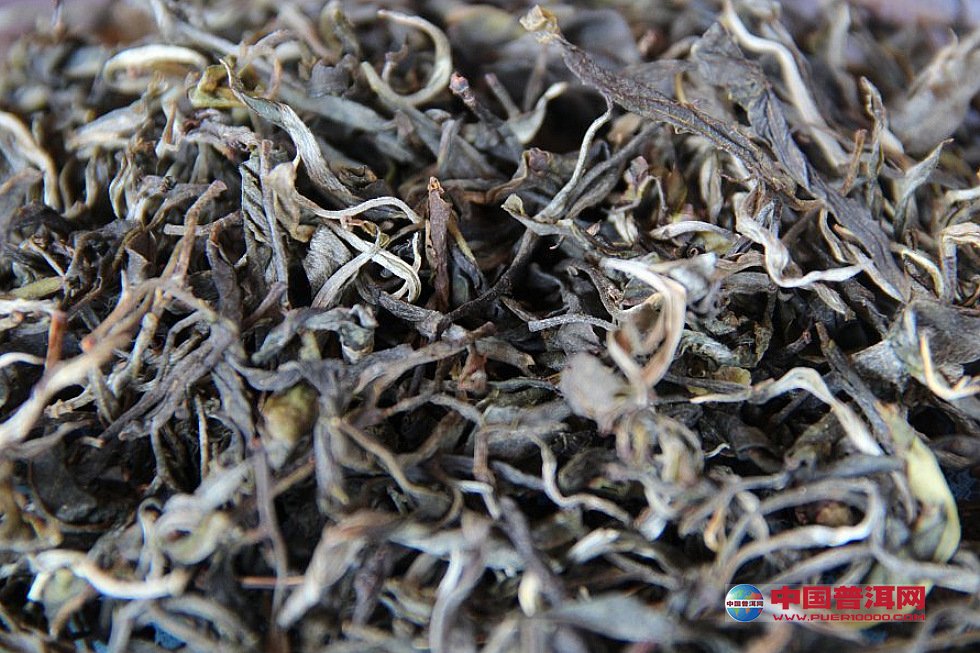 普洱茶