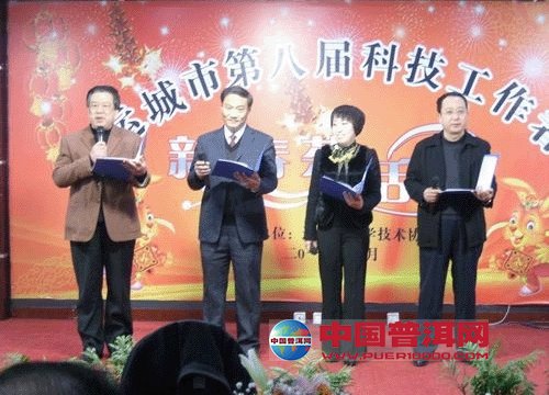 普洱茶