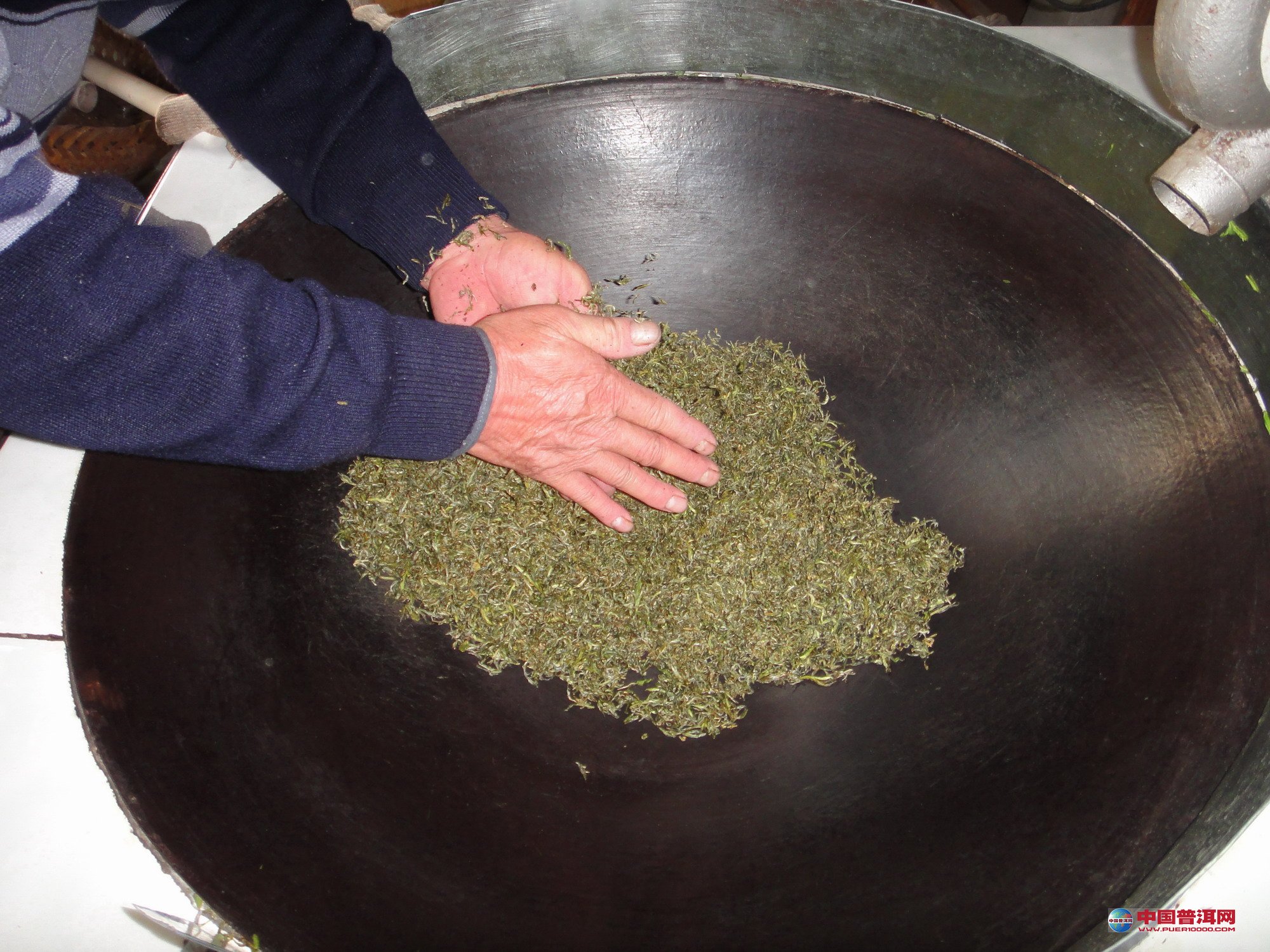 普洱茶
