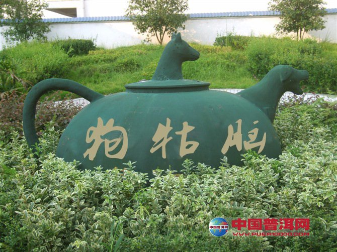 普洱茶