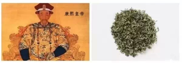 <u><a href='http://www.puer10000.com/puerzhishi/32854.html' target='_blank'>ն<u><a href='http://www.puer10000.com/puerzhishi/100997.html' target='_blank'></a></u></a></u>