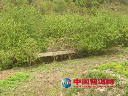 <u><a href='http://www.puer10000.com/puerzhishi/32854.html' target='_blank'>普洱<u><a href='http://www.puer10000.com/puerzhishi/100997.html' target='_blank'>茶</a></u></a></u>