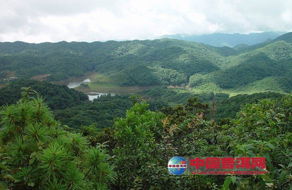 <u><a href='http://www.puer10000.com/puerzhishi/32854.html' target='_blank'>普洱<u><a href='http://www.puer10000.com/puerzhishi/100997.html' target='_blank'>茶</a></u></a></u>