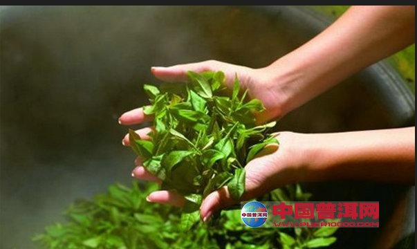 <u><a href='http://www.puer10000.com/puerzhishi/32854.html' target='_blank'>普洱<u><a href='http://www.puer10000.com/puerzhishi/100997.html' target='_blank'>茶</a></u></a></u>