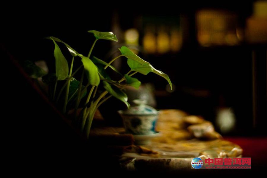 <u><a href='http://www.puer10000.com/puerzhishi/32854.html' target='_blank'>ն<u><a href='http://www.puer10000.com/puerzhishi/100997.html' target='_blank'></a></u></a></u>