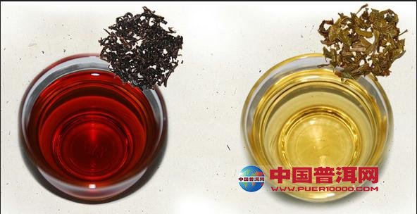 普洱茶