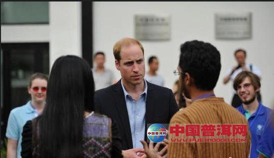 普洱茶