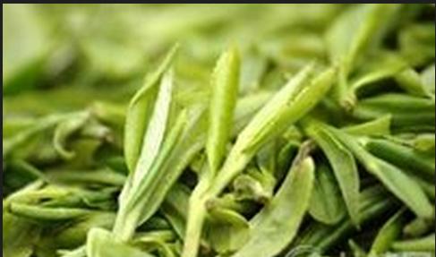 普洱茶