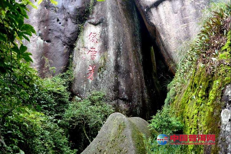 <u><a href='http://www.puer10000.com/puerzhishi/32854.html' target='_blank'>ն<u><a href='http://www.puer10000.com/puerzhishi/100997.html' target='_blank'></a></u></a></u>