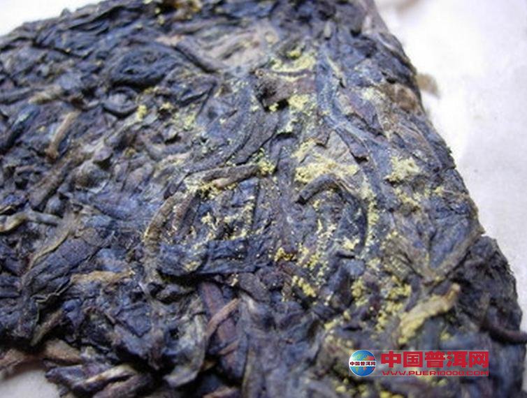 普洱茶