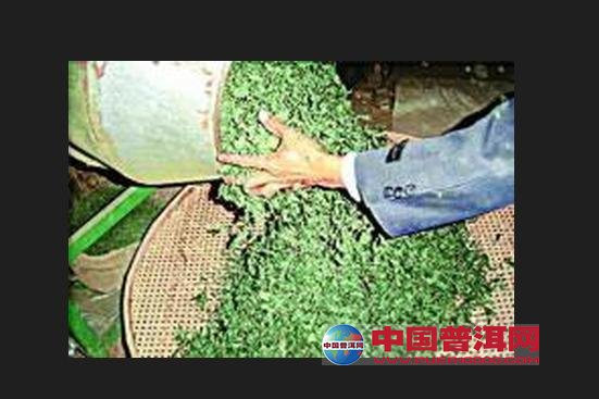 普洱茶
