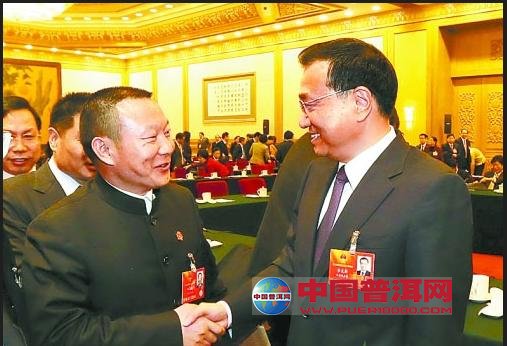 普洱茶