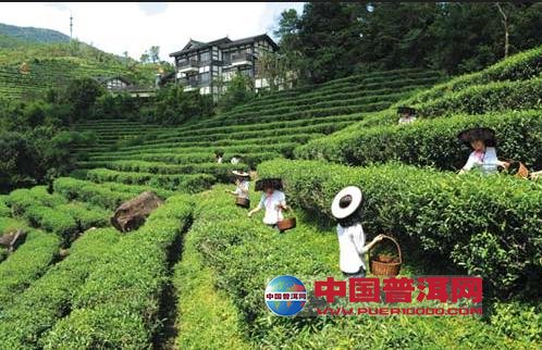 <u><a href='http://www.puer10000.com/puerzhishi/32854.html' target='_blank'>普洱<u><a href='http://www.puer10000.com/puerzhishi/100997.html' target='_blank'>茶</a></u></a></u>