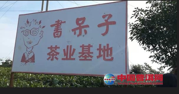 普洱茶