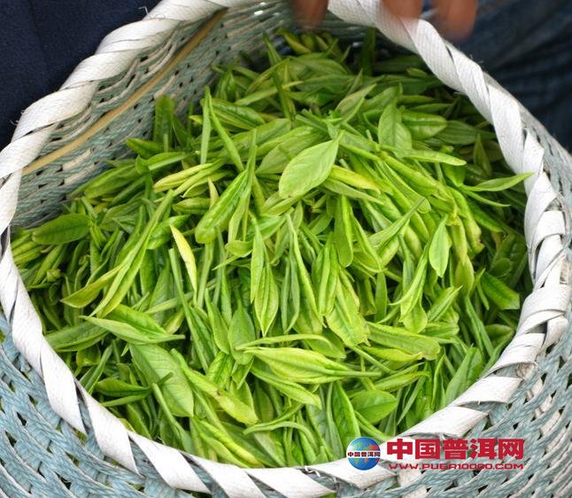 <u><a href='http://www.puer10000.com/puerzhishi/32854.html' target='_blank'>ն<u><a href='http://www.puer10000.com/puerzhishi/100997.html' target='_blank'></a></u></a></u>