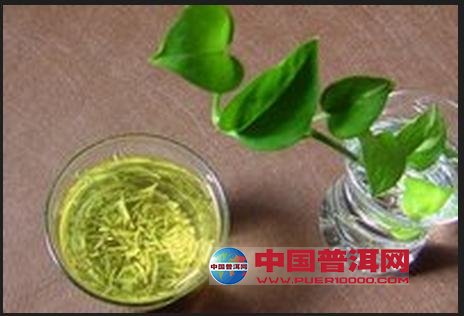 普洱茶