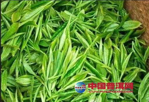 普洱茶