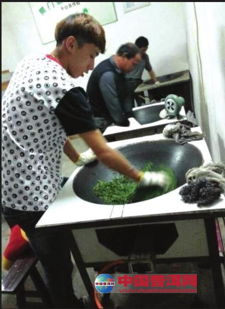 普洱茶