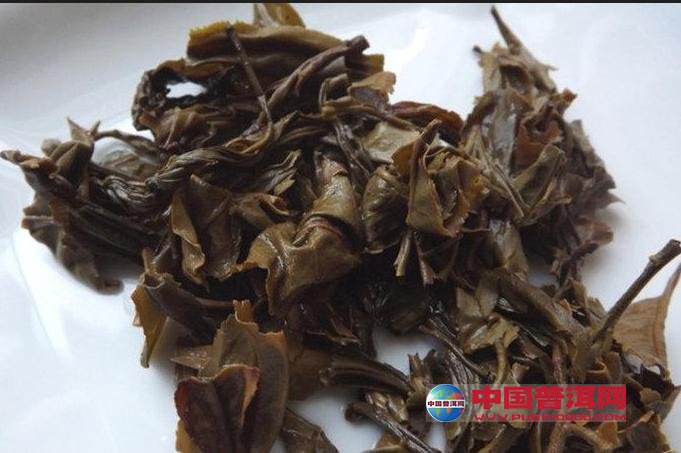 普洱茶