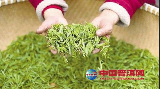 普洱茶