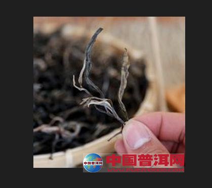 普洱茶