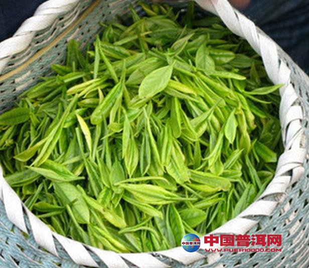 普洱茶
