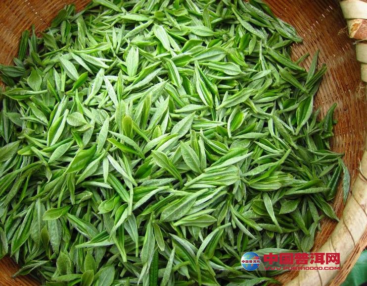 普洱茶