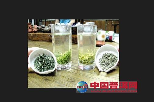 普洱茶