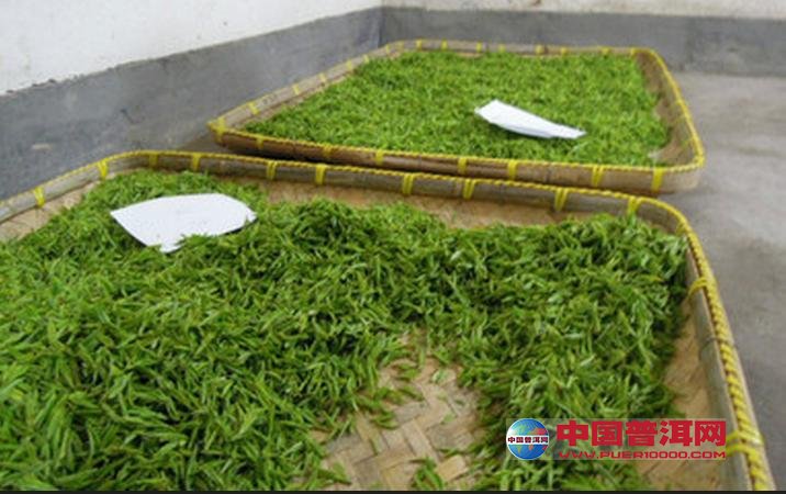 普洱茶