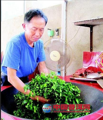 普洱茶
