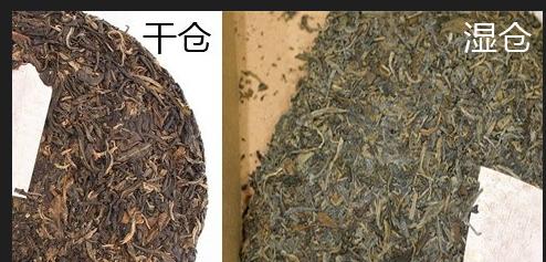 普洱茶