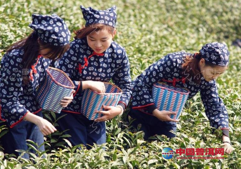 <u><a href='http://www.puer10000.com/puerzhishi/32854.html' target='_blank'>ն<u><a href='http://www.puer10000.com/puerzhishi/100997.html' target='_blank'></a></u></a></u>