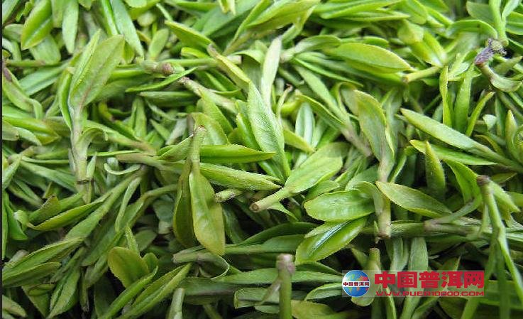 普洱茶