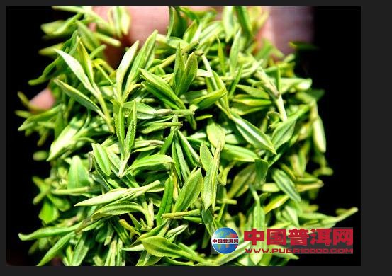 普洱茶