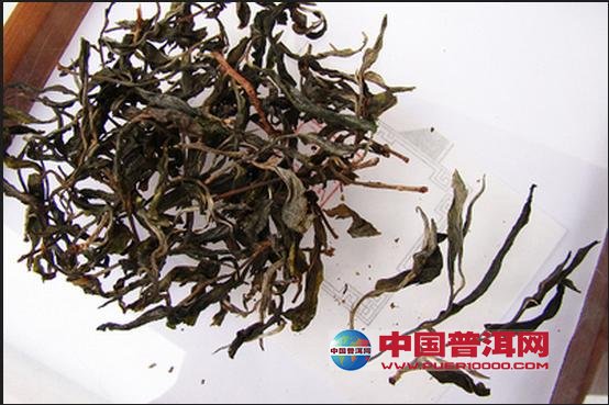 普洱茶
