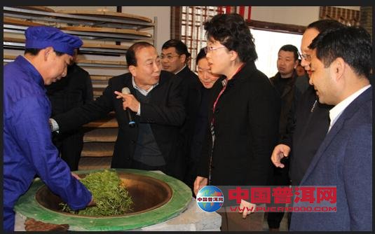 普洱茶