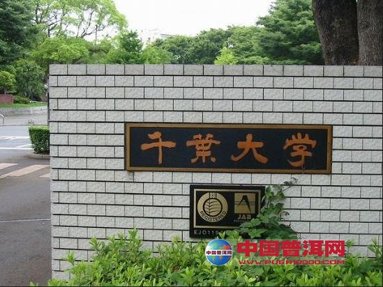 普洱茶
