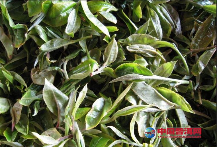 普洱茶