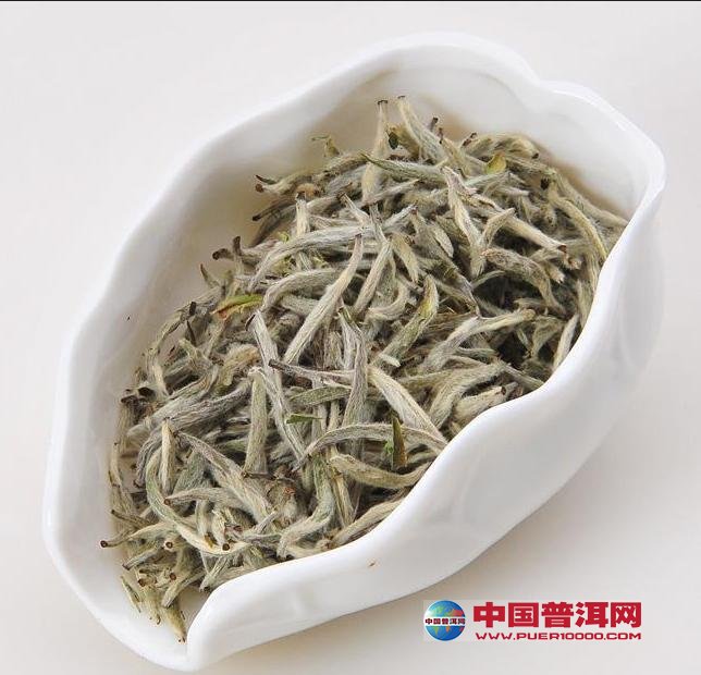 普洱茶