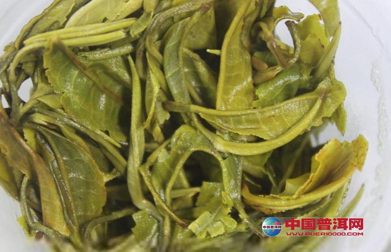 普洱茶