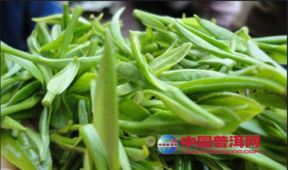 <u><a href='http://www.puer10000.com/puerzhishi/32854.html' target='_blank'>普洱<u><a href='http://www.puer10000.com/puerzhishi/100997.html' target='_blank'>茶</a></u></a></u>